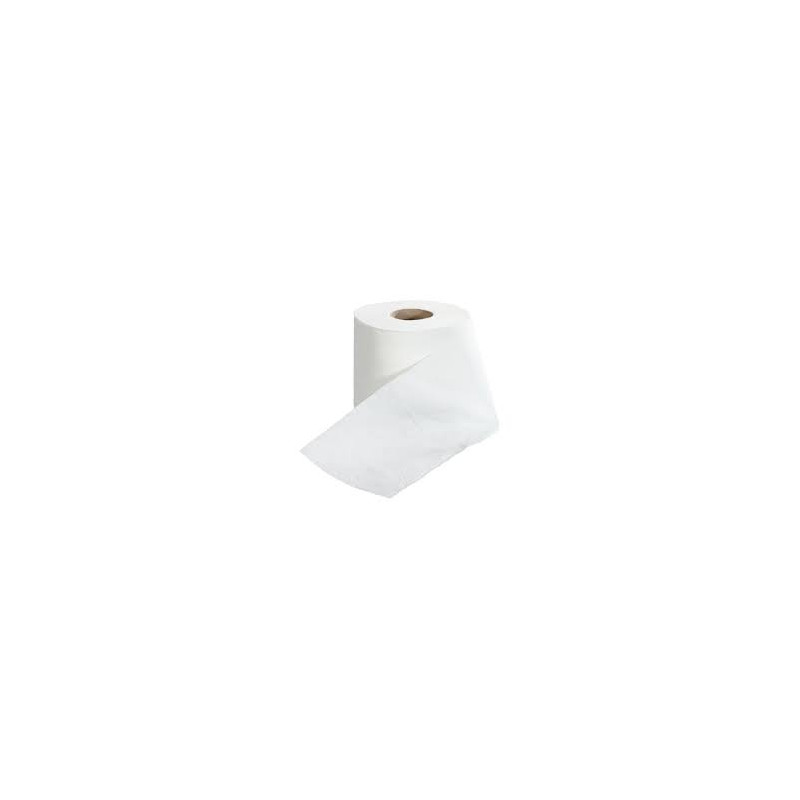 Papier Toilette Tissue 3 couches confort 42R(6*7) trevi*