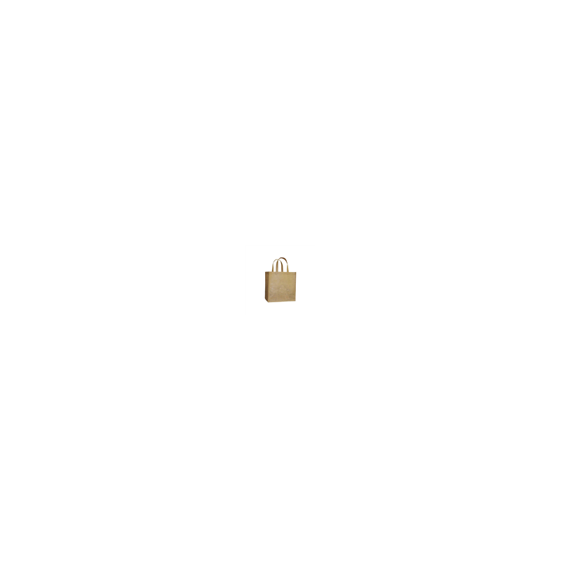 Sac  Kraft take away GR 32*21*29 250 uni - Seil