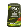 Feno Roll-on Men Protection Active 50ml - Asd*