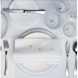 *Serviette  Gc 47x47 Aria...
