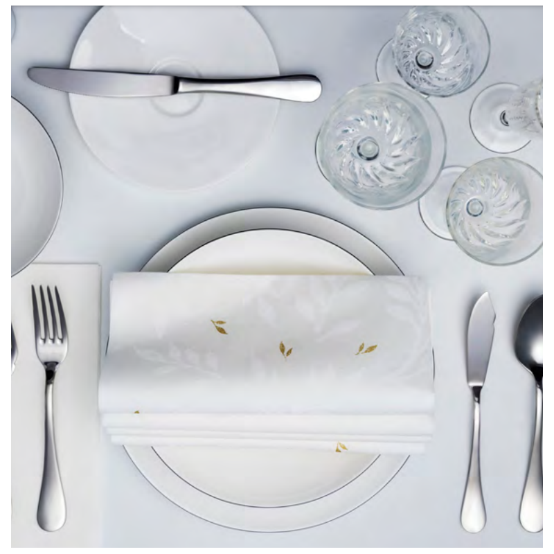 Serviette Gc 47x47 Aria - 500uni Seil*