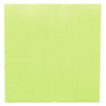 *Serviette Ecolabel Double point 20x20 Vert anis 2400uni GP